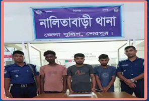 নালিতাবাড়ীতে ইয়াবাসহ তিন যুবক গ্রেফতার