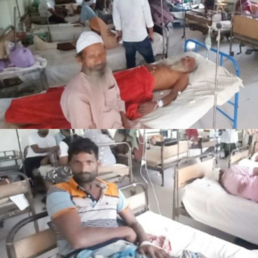 শিবচরে একই দিন ৩ জনকে সাপের দংশন, একজনকে ঢাকায় প্রেরন