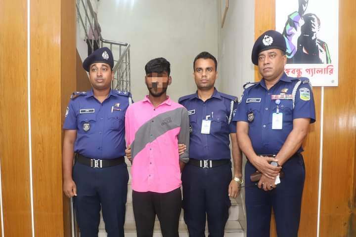 শেরপুরে গৃহকর্ত্রীকে হত্যা মামলার প্রধান আসামি আলিমুল গ্রেফতার