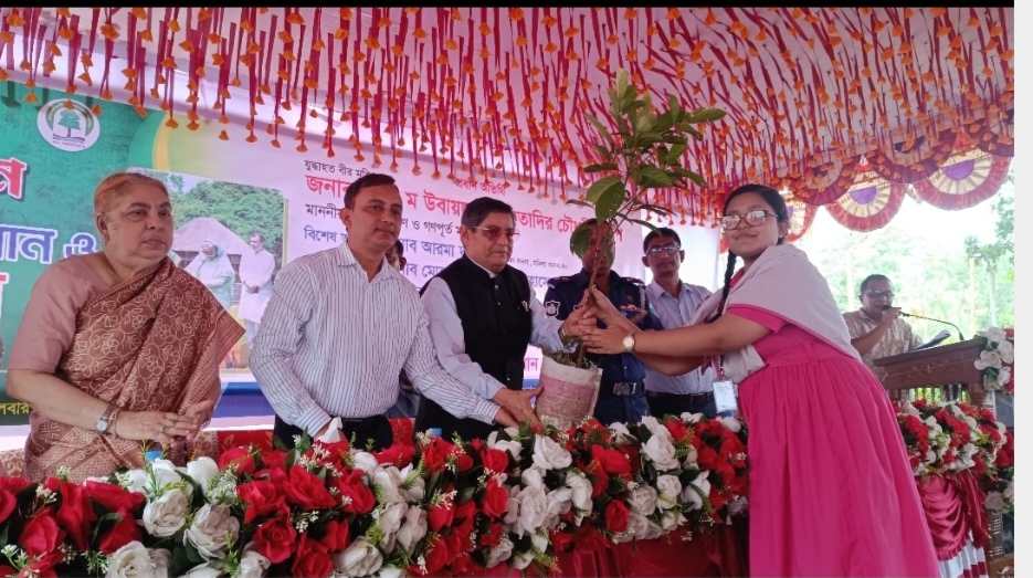 জিয়াউর রহমানরা শাসনামলে শতবর্ষী গাছ কাটে ক্ষমতার জন্য বলেন- গণপূর্ত মন্ত্রী