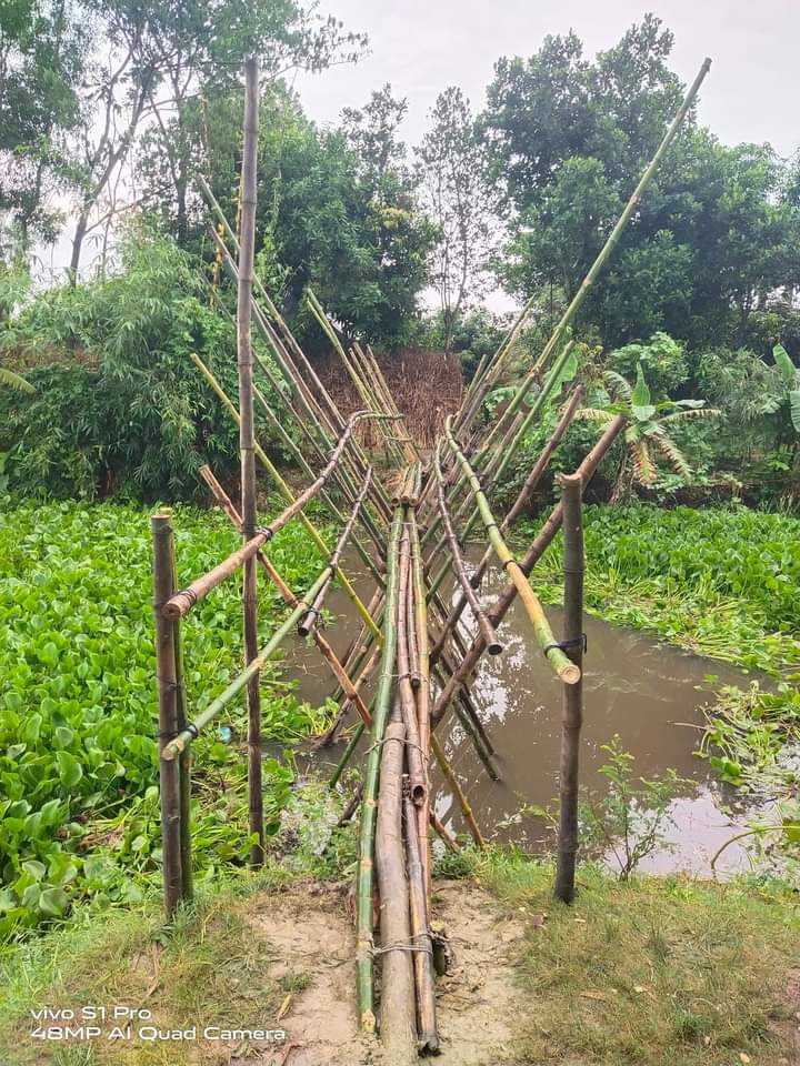 কচুয়ার বুধুন্ডায় জীবনের ঝুঁকি নিয়ে আর কতদিন বাঁশের সাঁকো দিয়ে যাতায়াত করতে হবে এলাকাবাসী জানে না