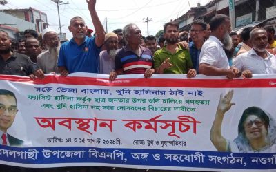 বদলগাছী উপজেলা বিএনপির আয়োজনে শান্তি সমাবেশ ও র‍্যালী অনুষ্ঠিত