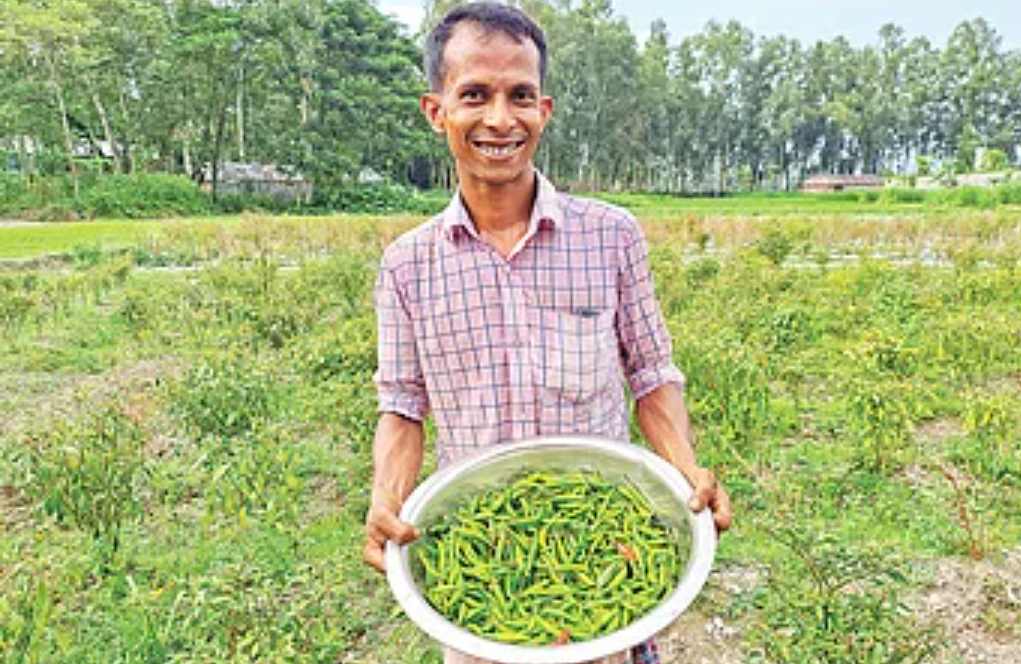 গাইবান্ধার স্নাতকোত্তর অশোক কুমার এখন সফল কৃষি উদ্যোক্তা