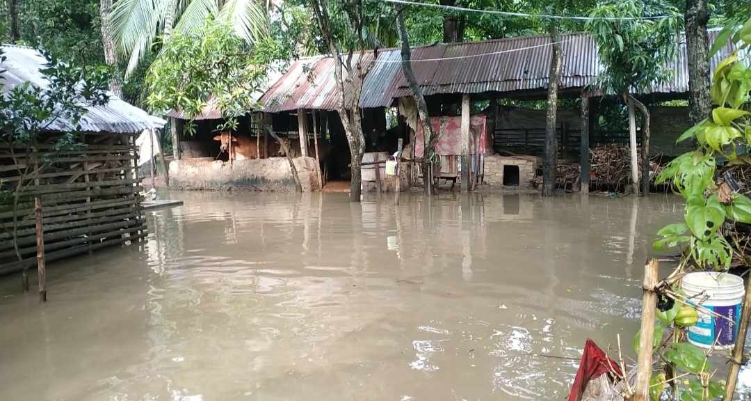 বন্যায় ভাসছে মনিরামপুর উপজেলার কয়েকটি গ্রাম