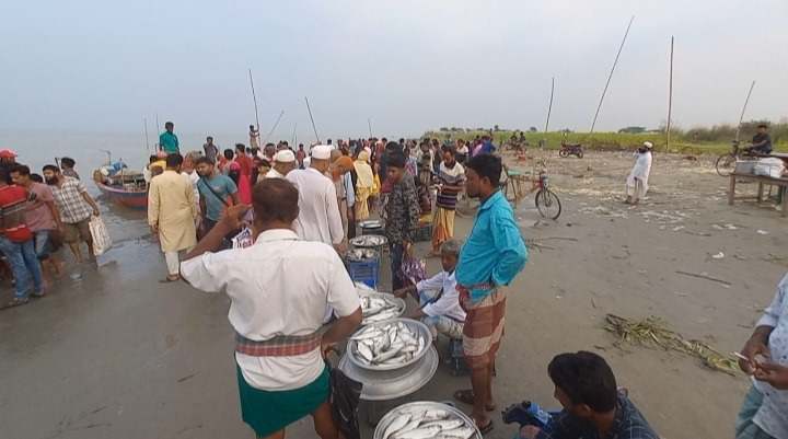 পদ্মায় নিষেধাজ্ঞা উপেক্ষা করেই  ইলিশ নিধন, চরাঞ্চলের পাড়জুড়ে হাট বসিয়ে ভোর থেকে রাত পর্যন্ত বিক্রির ধুম