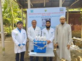 বাকৃবির গবেষক উদ্ভাবন  করলেন ব্রুসেলোসিসের ভ্যাকসিন