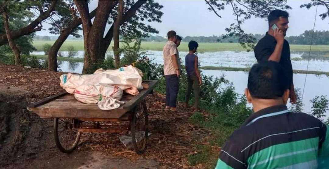 সাচার বাজারে মরা গরুর মাংস বিক্রির চেষ্টার অভিযোগ, প্রশাসনের জব্দ