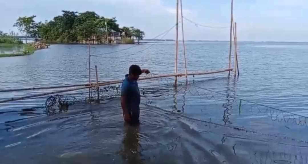 ধর্মপাশায় নদীতে  অবৈধ  জাল দিয়ে মাছ শিকারের অভিযোগ নেপথ্যে বিএনপি নেতারা