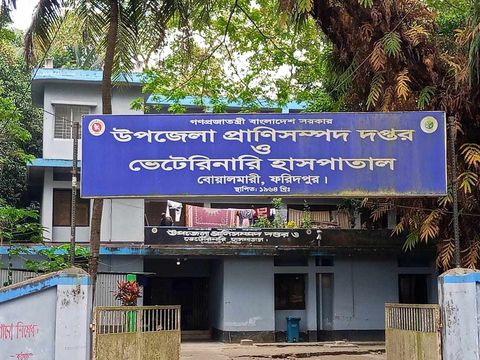 বোয়ালমারীতে ছাগলের পিপিআর টিকা কর্মসূচিতে অনিয়মের অভিযোগ