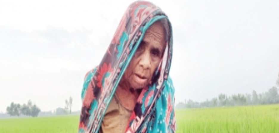 তিস্তা জমি ফিরিয়ে দিলেও গ্রাস করলো ভাতিজারা