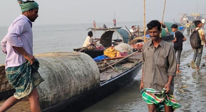 নিষেধাজ্ঞা শেষে পদ্মায় মাছ ধরার উৎসবে জেলেরা