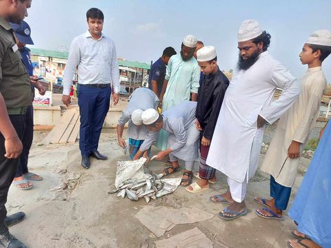 পদ্মা নদীতে মা ইলিশ নিয়ে ব্যাপক লেখালেখির পরিপ্রেক্ষিতে  জেলা মৎস্যওডিডিপদ্মা নদীতে  ব্যাপক অভিযান