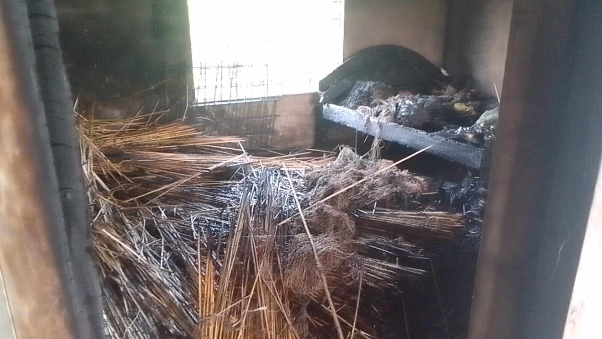 ঝিনাদহের মহেশপুরে ৩০ হাজার টাকার পাটকারী আগুনে পুড়ে ছাই