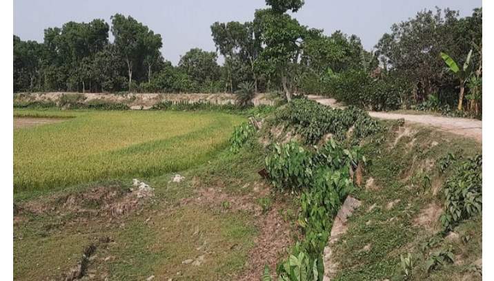 ঝিনাইদহের কোটচাঁদপুর গ্রাম আছে মানুষ নেই