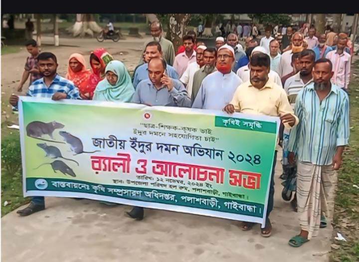 পলাশবাড়ীতে ইঁদুর দমন অভিযান উপলক্ষ্যে র‍্যালী ও আলোচনা সভা অনুষ্ঠিত