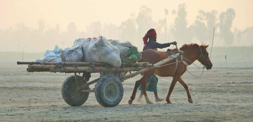 গাইবান্ধার চরাঞ্চলে চলাচলের বাহন ঘোড়ার গাড়ি