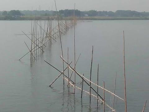 আলফাডাঙ্গায় মধুমতি  নদীতে আড়াআড়ি বাঁধ দিয়ে মাছ শিকার:প্রশাসন ও মৎস্য অধিদপ্তর নির্বাক