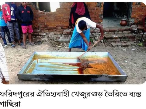 ফরিদপুরে ঐতিহ্যবাহী খেজুর গুড় তৈরিতে ব্যস্ত খেজুর গাছীরা