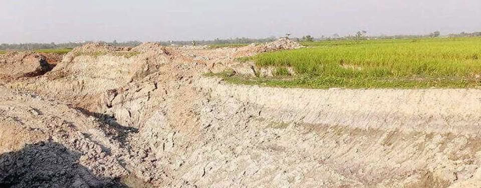 সদরপুরে  ফসলি জমির মাটি যাচ্ছে ইটভাটায়