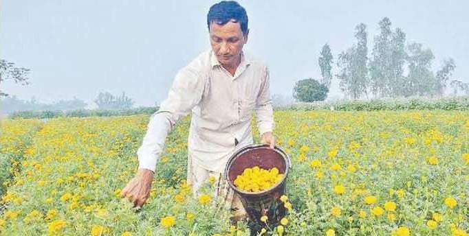 ফুলে ফুলে রঙিন মোখলেছুরের জীবন