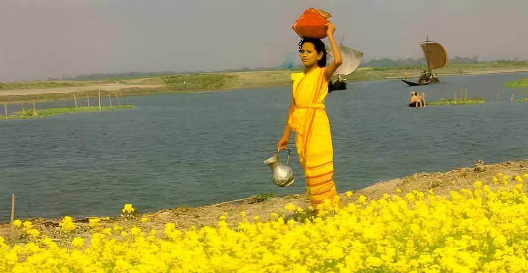 গাইবান্ধায় সরিষা ফুলের হলুদ গালিচায় প্রকৃতি মেলেছে পাখা