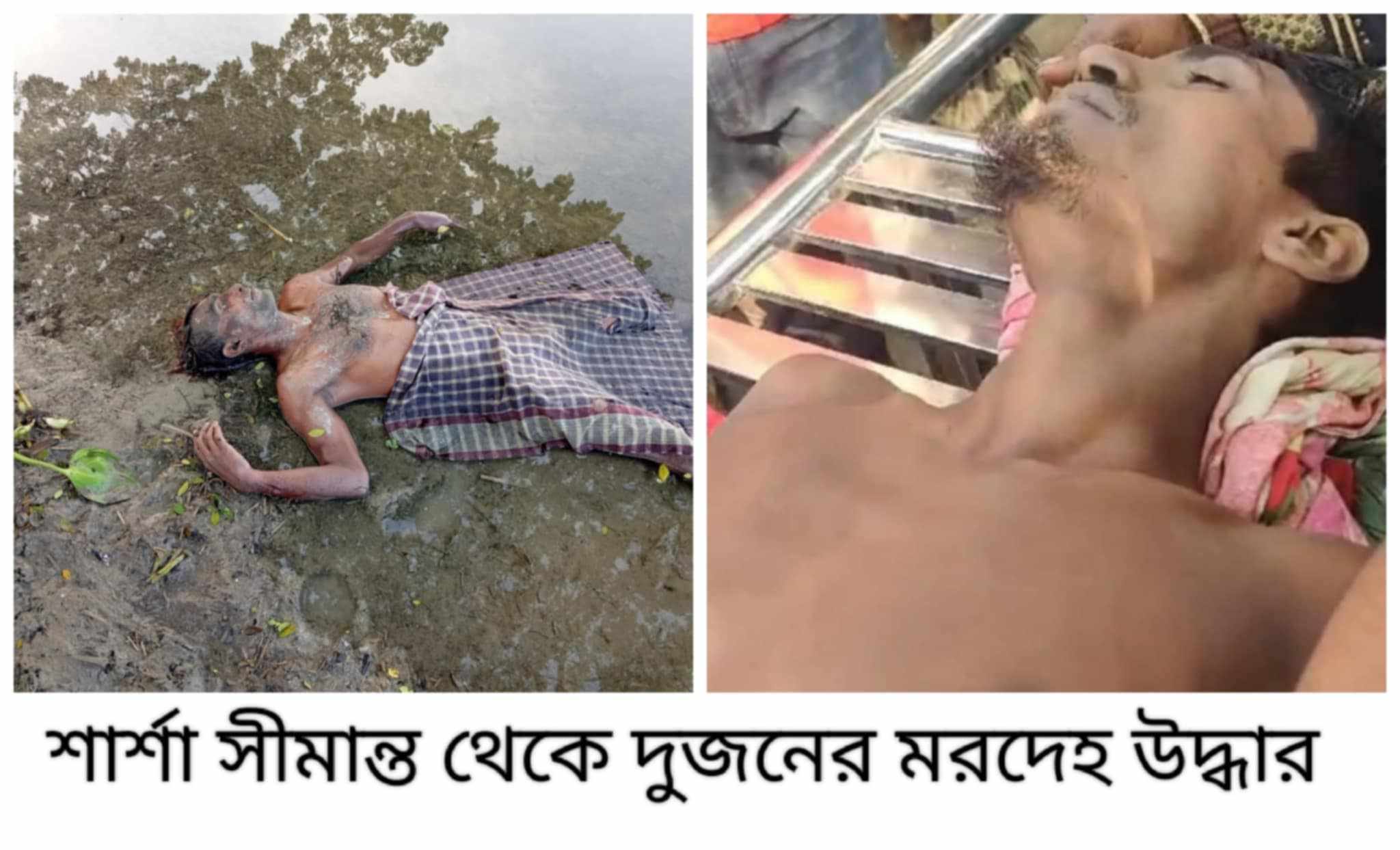 শার্শার সীমান্তে দু যুবকের লাশ উদ্ধার