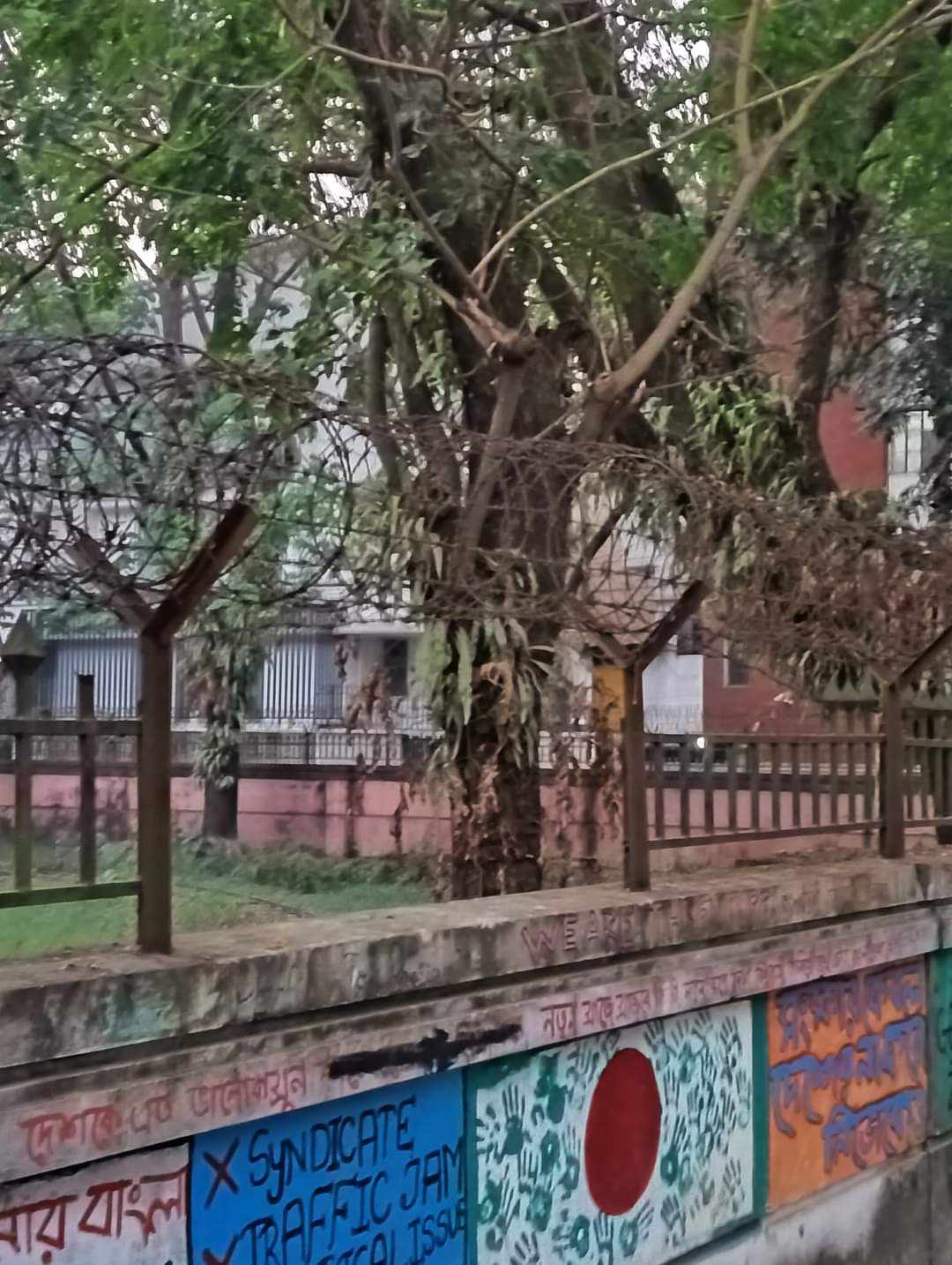 চট্টগ্রামের স্বাধীনতা (জিয়া পার্ক) পার্কের বেহাল দশা, সংস্কার জরুরী