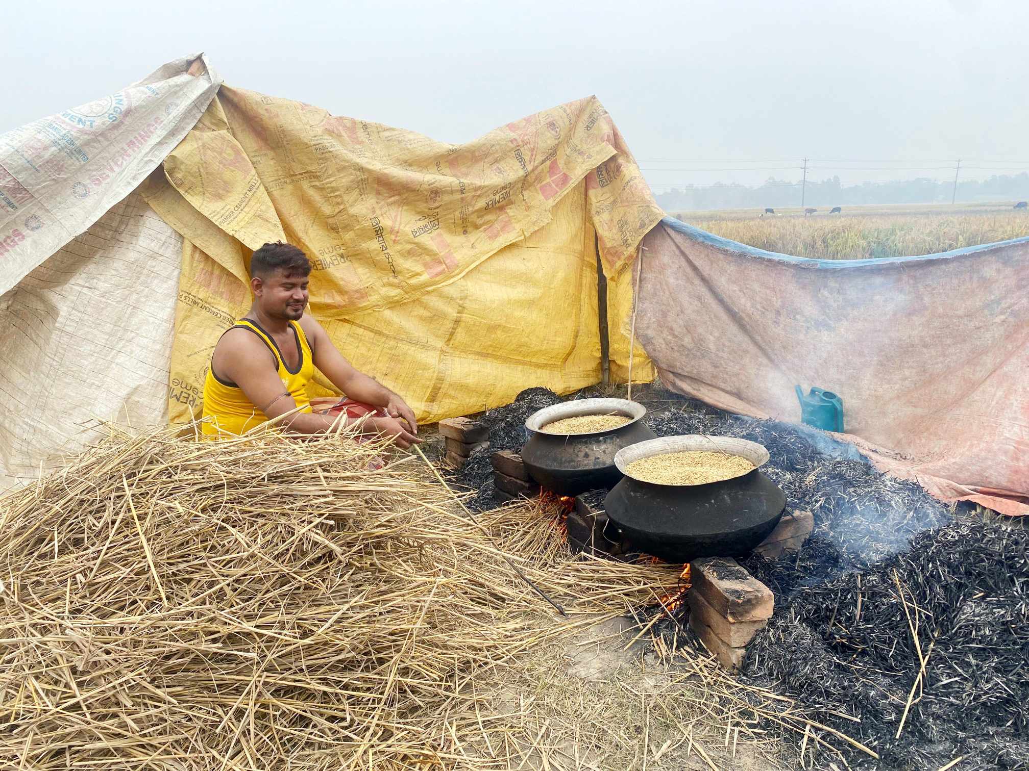 নবান্নের আনন্দে সোনালী ধান তুলতে ব্যস্ত কৃষাণ সোলায়মান