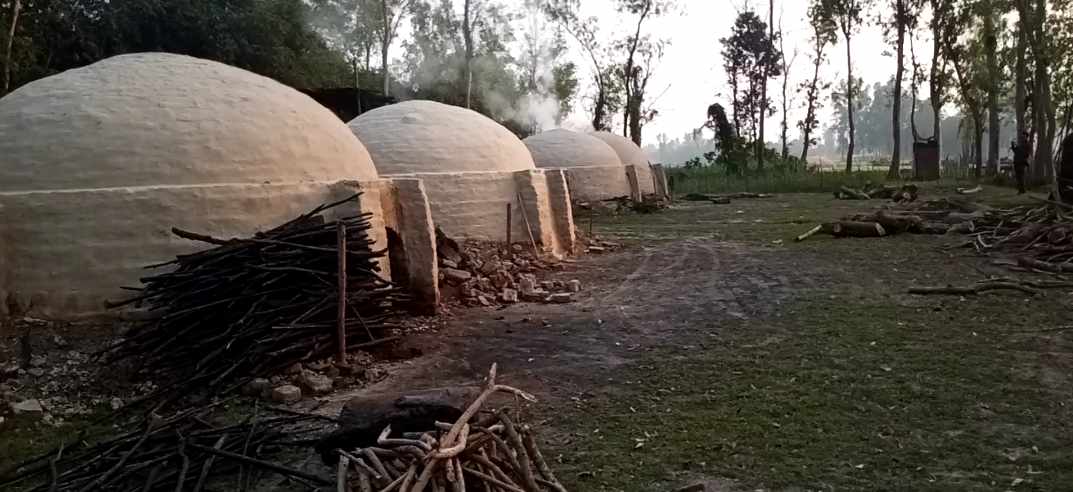 সাঘাটায় কাঠ কয়লার অবৈধ কারখানা, হুমকিতে পরিবেশ