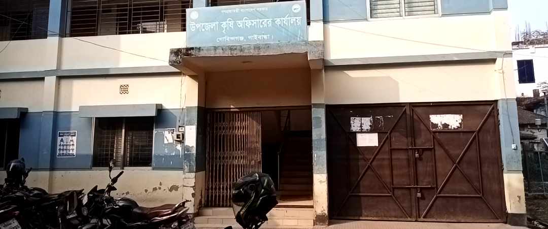 গোবিন্দগঞ্জে রবি মৌসুমে কৃষি প্রণোদনা কৃষকদের মুখে হাসি ফুটিয়ে তুলবে