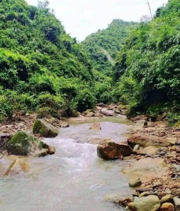 প্রাকৃতিক ভারসাম্য ফিরতে শুরু করেছে দুর্গাপুরে