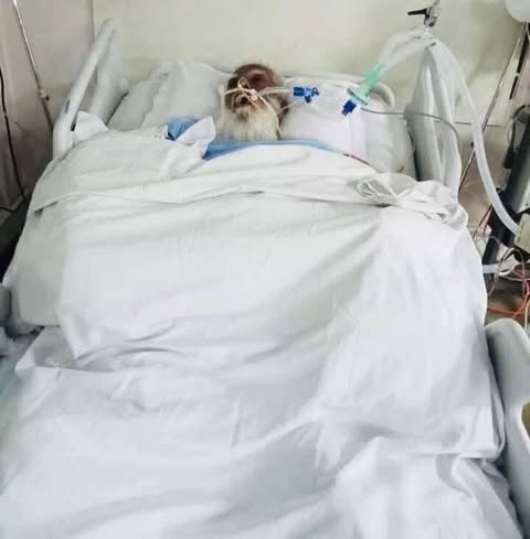 নরসিংদীর প্রবীণ রাজনীতিবিদ সুলতান উদ্দিন মোল্লা আর বেঁচে নেই