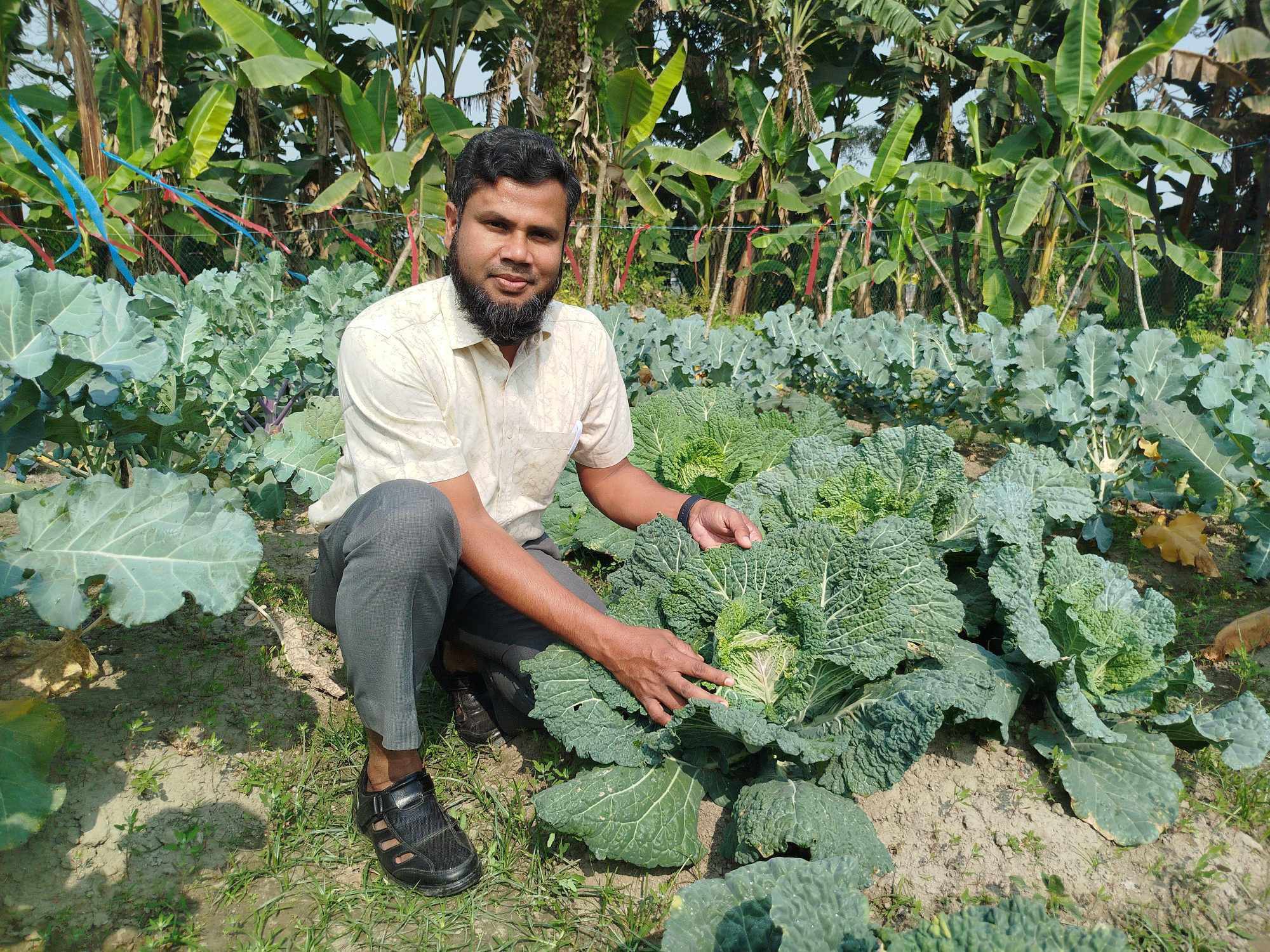ইউরোপীয় রঙিন সবজির দেশীয় জাত উন্নয়নে কাজ করছে বাকৃবি অধ্যাপক ড. হারুন