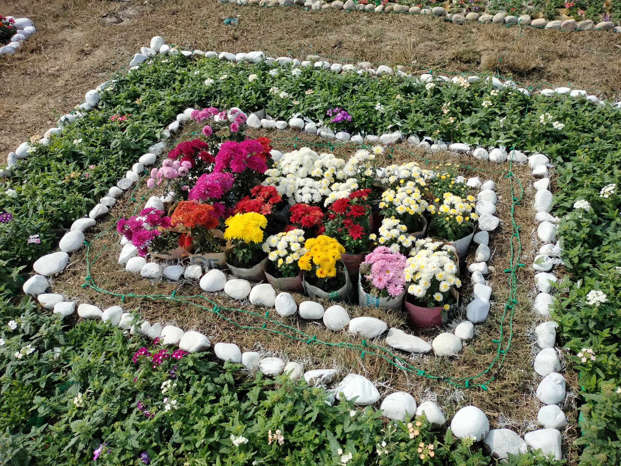 ফুলের রাজ্যে হারিয়ে যাওয়া