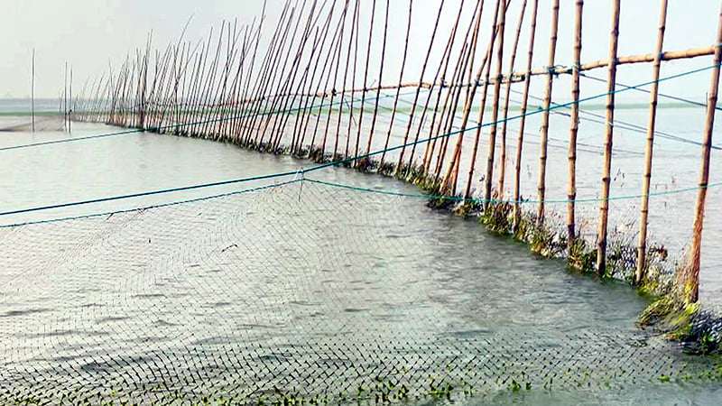 চরভদ্রাসনের মাথাভাঙ্গা গ্রামের পদ্মা নদীতে আড়াআড়ি বাঁধ দিয়ে গত কদিন ধরে চলছে জাটকা ইলিশ নিধনের মাহাযজ্ঞ