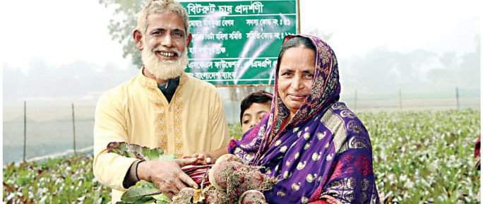 গাইবান্ধার লক্ষ্মীপুরে এই প্রথম চাষ হচ্ছে বিদেশী সবজি বিটরুট