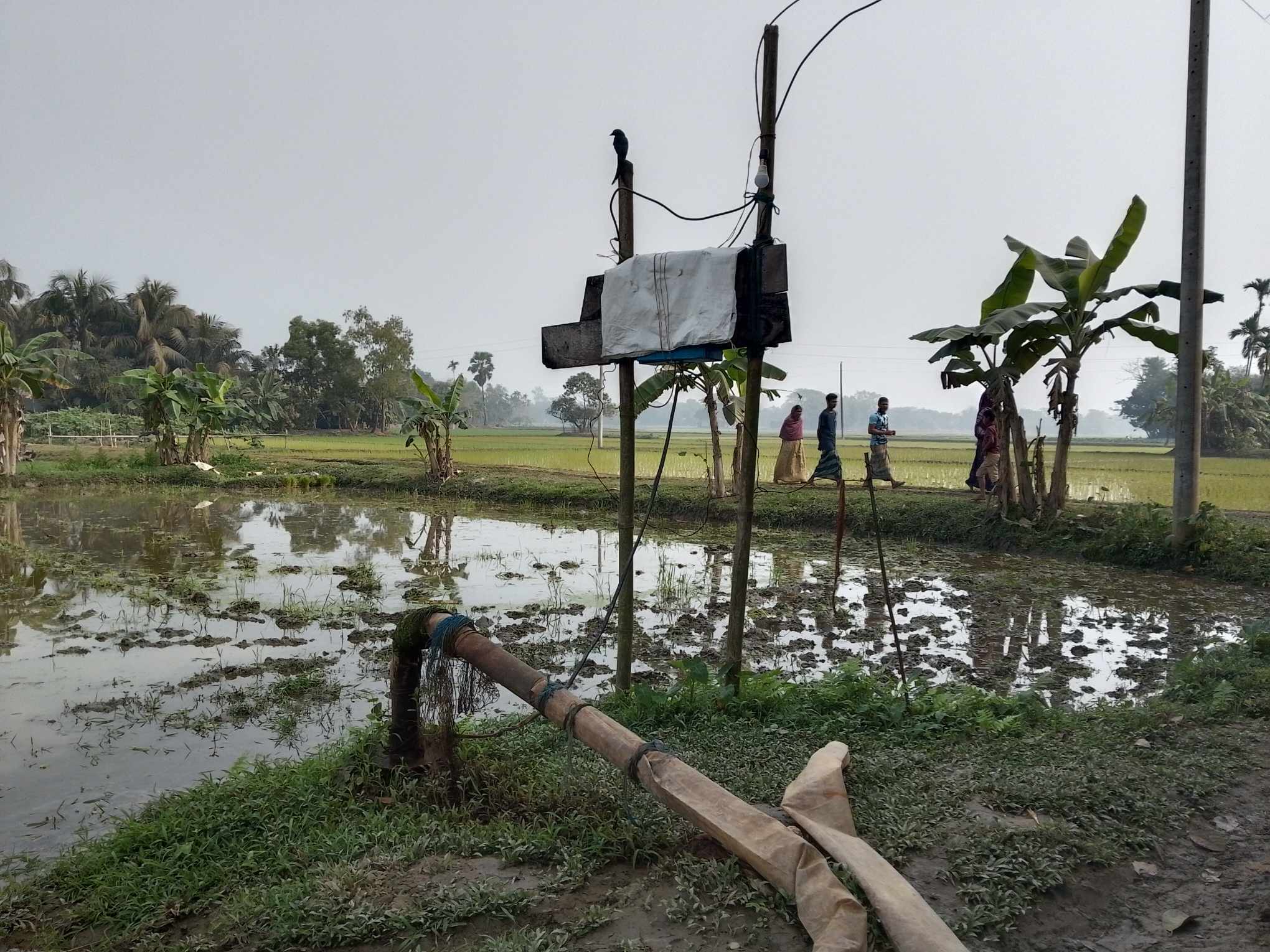 বারহাট্টায় জমিতে পানি দিতে না পারায় বোরো আবাদ করতে পারছেনা কৃষক