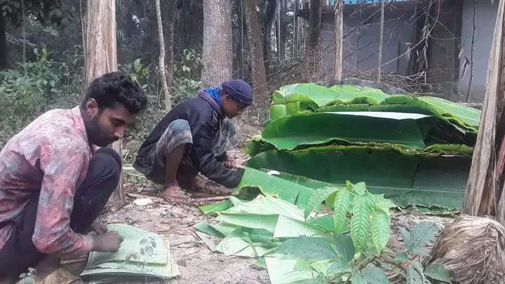 মনিরামপুরে কলার পাতার ব্যবসা করে জীবিকা নির্বাহ করে অলক দাস