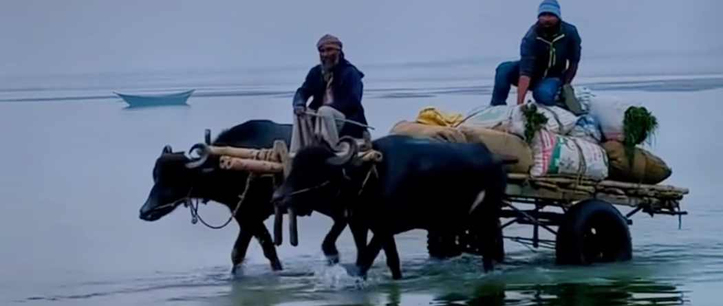 বাঙ্গালির অস্তিত্বের সাথে মিশে আছে নদী