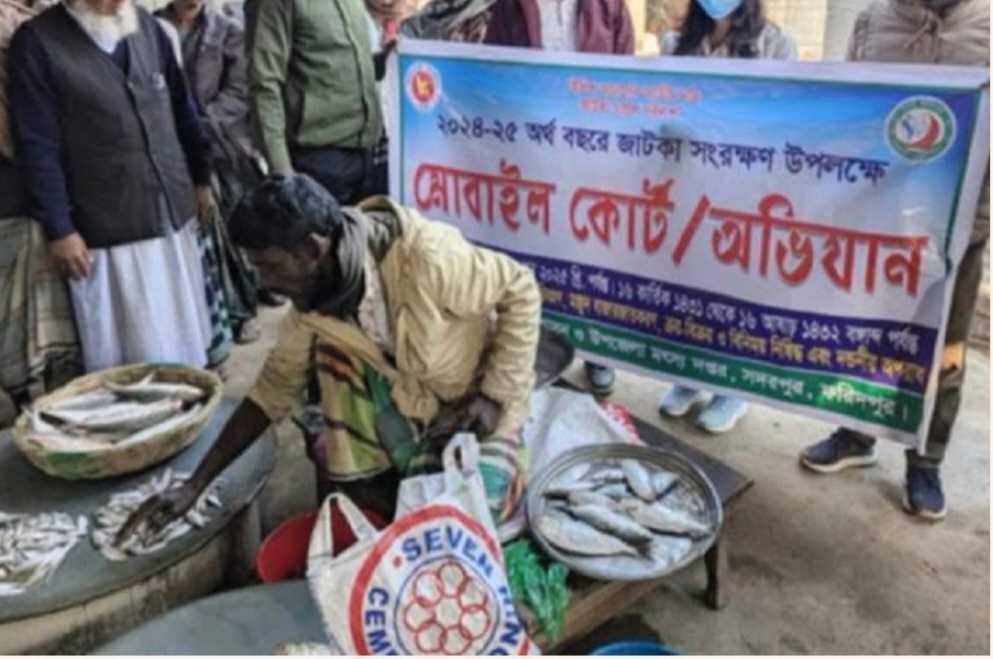 ফরিদপুরের সদরপুরে ২ মণ জাটকা ইলিশ জব্দ অসাধু ব্যবসায়ীকে ৫ শতটাকা জরিমানা