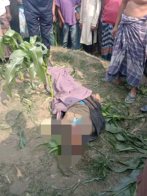 রাণীশংকৈলে ভুট্টা ক্ষেত থেকে লাশ উদ্ধার
