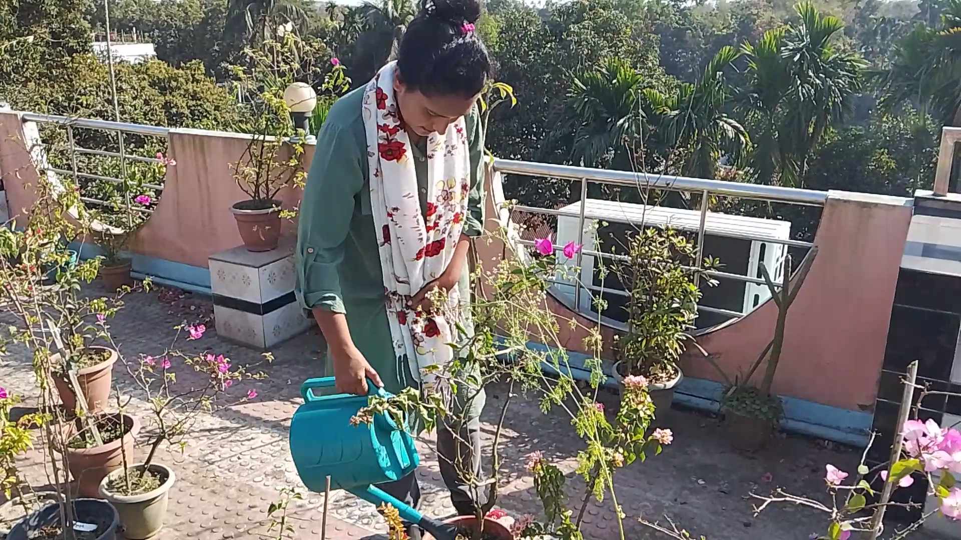 তন্নীর শখের ছাদবাগান যোগাচ্ছে পারিবারিক পুষ্টির চাহিদা: বাগান পরিচর্যার জন্য বাহরাইন থেকে প্রায়শই ছুটে আসেন নেত্রকোণায়