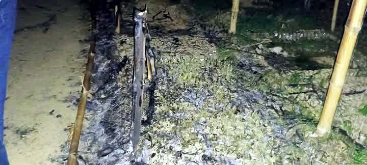 দুর্বৃত্তদের দেওয়া আগুনে ঘর সহ সবজি বাগান পুড়ে ছাই