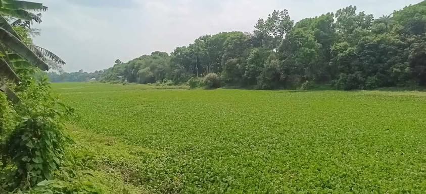 চরভদ্রাসন উপজেলার প্রবহমান ভুবনেশ্বর নদ ধুঁকছে