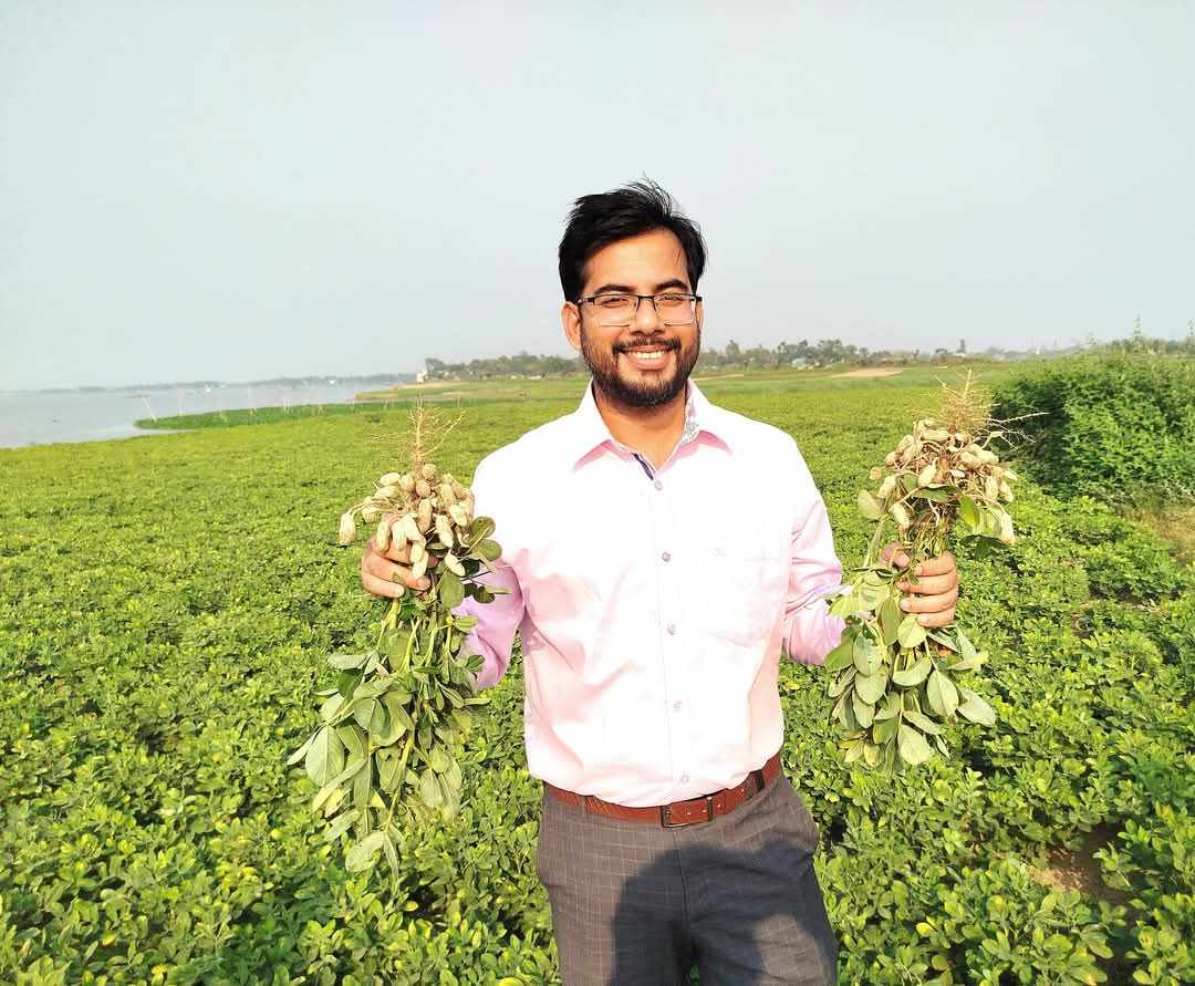 নবীনগরে চিনাবাদাম চাষে স্বপ্ন বুনছে কৃষক