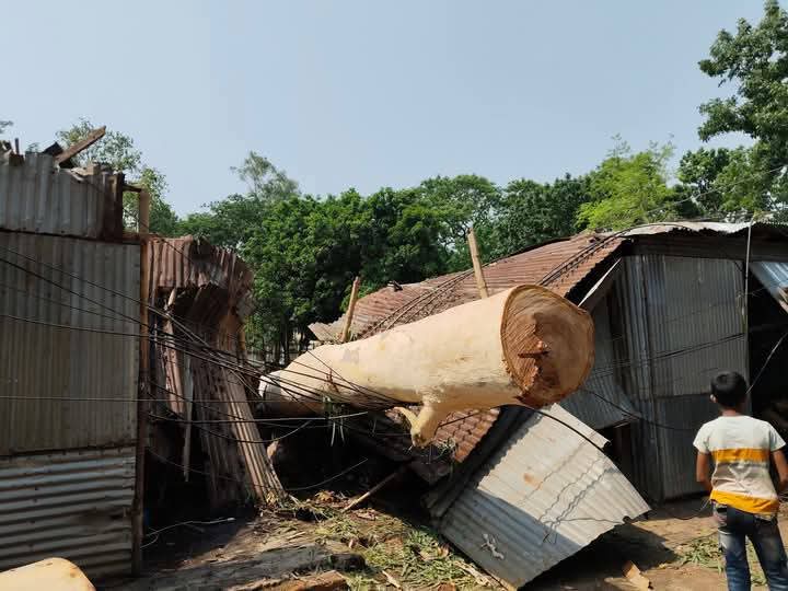 ভূরুঙ্গামারী উপজেলায় কালবৈশাখী ঝড়ে ব‍্যাপক ক্ষয়ক্ষতি 