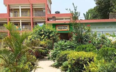 সবুজে ঘেরা দৃষ্টিনন্দন বিদ্যাপিঠ, গাইবান্ধার বেড়াডাঙ্গা সরকারি প্রাথমিক বিদ্যালয়