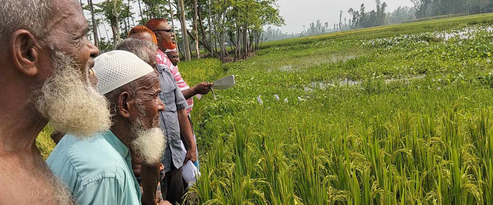 গাইবান্ধার লক্ষ্মীপুরে পৈত্রিক সম্পত্তি বেদখলের অপচেষ্টা, অতঃপর মামলা