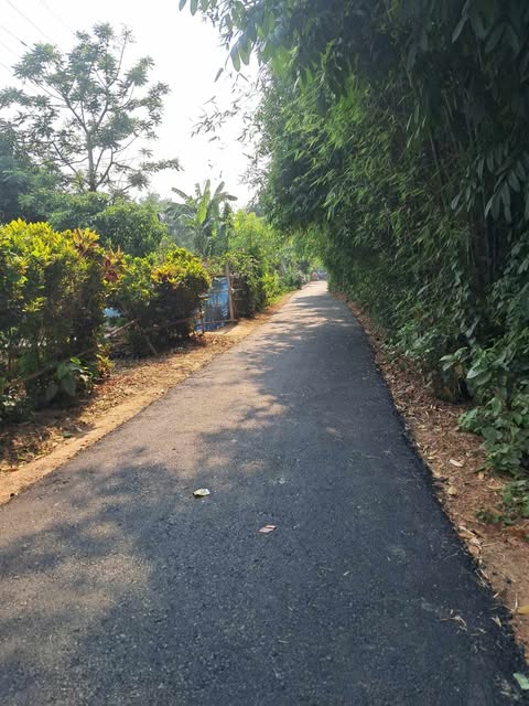 চরভদ্রাসনের চলমান এলজিইডির কার্পেটিং রাস্তা পূনঃ মেরামত।