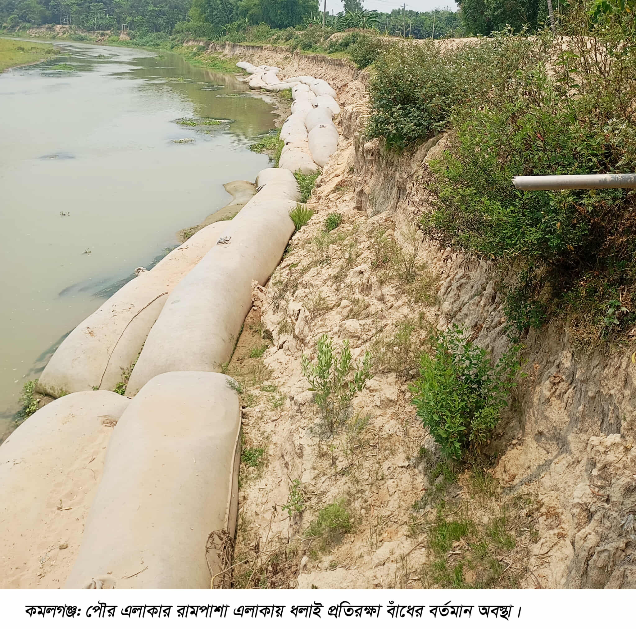 ধলাই নদীর ভাঙন আতঙ্কে উদ্বেগ আর উৎকন্ঠায় বাসিন্দারা-বাঁধ নির্মানের দাবীতে মানববন্ধন